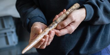 20 000 років тому люди виготовляли знаряддя з кісток найбільшої тварини у світі: про кого йдеться
