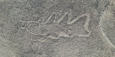 Кит-убийца с ножом и человеческие головы: ИИ нашел до сих пор неизвестные геоглифы на плато Наска (фото)