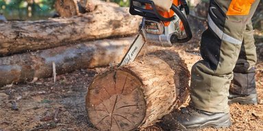 Нова серія побутових бензопил STIHL: потужність та зручність у щоденному використанні