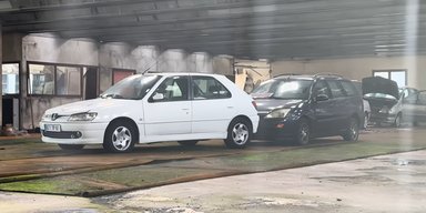 У Франції виявлено покинутий автосалон Peugeot із машинами всередині (відео)