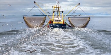 Дуже небезпечний улов: рибалки випадково вигрібають хімічну зброю з дна океану