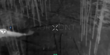 Сова збила російський дрон у Донецькій області (відео)