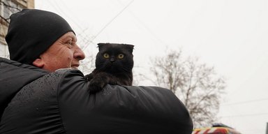 В Тернополе выросло количество спасенных из-под завалов: не только люди (фото, видео)