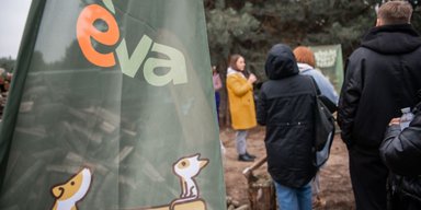 "Запали зірку тепла": українські знаменитості долучились до зимової кампанії допомоги тваринам