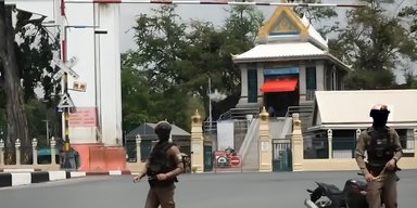 У Таїланді "війна" з мавпами: поліцейські полюють на тварин із рогатками (фото, відео)