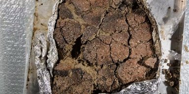 Неизвестное поселение бронзового века: в Швейцарии обнаружили "кухню" древних людей (фото)