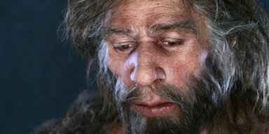 Ученые выяснили, что неандертальцы могли разговаривать не хуже Homo sapiens