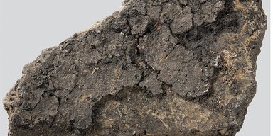 Кулинарные вкусы возрастом 5 тысяч лет: ученые узнали, что ели во времена неолита