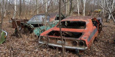 Кладбище раритетов: в США среди леса обнаружили свалку со старинными авто (видео)