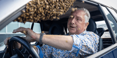 Чоловік залишив авто з відкритим вікном: 5000 бджіл раптово заселилися в машину (фото)