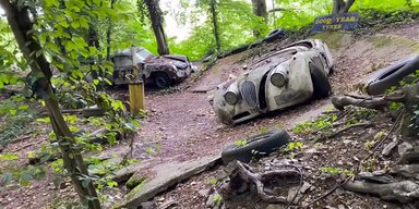 Покинуті раритети: у лісі знайшли кладовище класичних автомобілів (відео)
