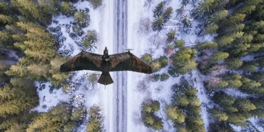 Уникальный дрон-хищник обманет врага: что особенного в БПЛА Evolution Eagle (видео)