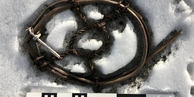 Льодовики Норвегії, що тануть, оголили неймовірні скарби: що виявили вчені (фото)