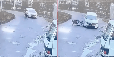 Хотіли допомогти чоловіку, якого збили, а він втік: в ТЦК прокоментували наїзд на велосипедиста
