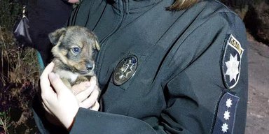 Черговий злочин РФ: поліція показала наслідки обстрілу окупантів в Одеській області (фото)