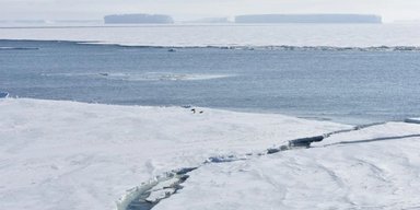 Морський лід в Антарктиді раптово обвалився після десятиліть зростання: що спричинило "обвал" (фото)