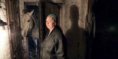 Любовь и морковь. Как люди и кони приручают друг друга