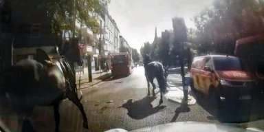 В Лондоне лошади гвардейцев снова вырвались на свободу: одна попала под машину (видео)