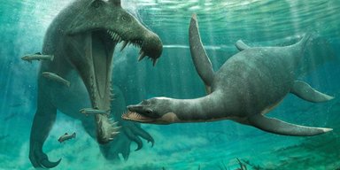 Ученые нашли окаменелости, напоминающие Лох-несское чудовище (фото)