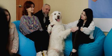 Психоемоційний стан під час війни: результати київського центру каністерапії та історії його відвідувачів