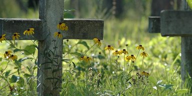 Життя після смерті існує. Частина нашого тіла продовжить жити через роки після нашої смерті