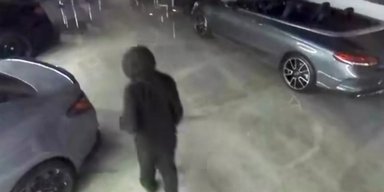 Дерзкое преступление: элитные авто на $1,5 миллиона похитили прямо из автосалона (видео)