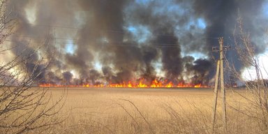 Глупость и безответственность. Фоторепортаж: вокруг Киева горят леса, луга и торфяники