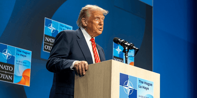 Американский папочка: Трампу понравилось новое прозвище, но генсек НАТО все отрицает