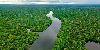 6400 км завдовжки і жодного мосту: чому друга за довжиною річка у світі не має жодної переправи