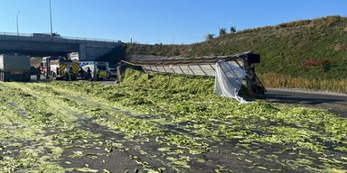 В Канаде перевернулся грузовик со стеблями сельдерея: дорогу пришлось перекрыть (фото)