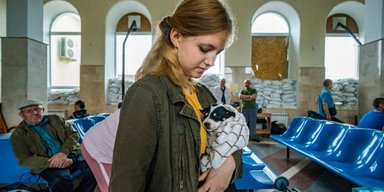 Виплати ВПО можуть скасувати: озвучено головну вимогу