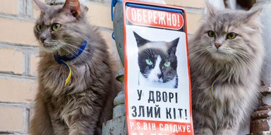 Когда привычный мир перевернулся. Как 2020-й научил видеть ценность и красоту того, что рядом
