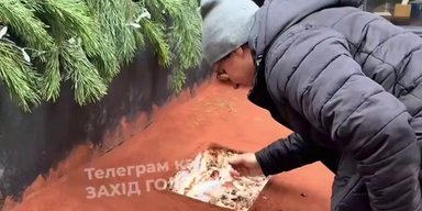 Во Львове жителей угостили тирамису с ковша трактора: сеть взорвалась критикой (видео)