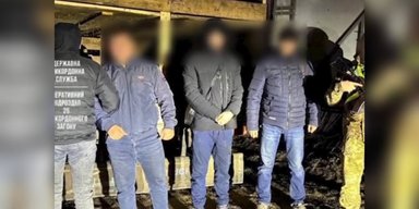 $10 тысяч за "путешествие": мужчины пытались покинуть Украину в прицепе для животных (видео)