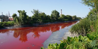 Канал в Аргентині забарвився в криваво-червоний: яскравий колір води стривожив учених (відео)