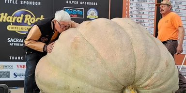 Прозвали "Мама": огромная тыква могла принести фермеру мировую славу (видео)