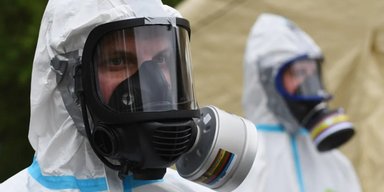 Новий вірус загрожує всьому живому на Землі: щось допомагає йому поширюватися і мутувати
