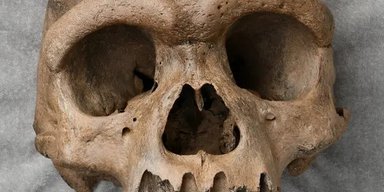 Были удивительно успешными: неолитические люди часто выживали после рискованных операций