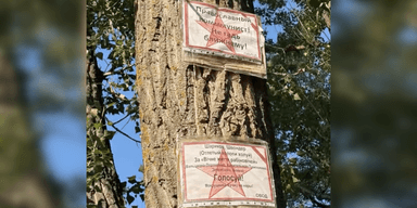 "Православні комуністи" розвісили плакати на Полтавщині: їм пригрозили судом (відео)