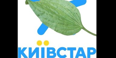Азбука Морзе и почтовые голуби: сети взорвались мемами о ситуации с Киевстаром (фото)