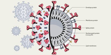 Использовать не по назначению. Ученые рассказали, какие лекарства могут помочь от коронавируса