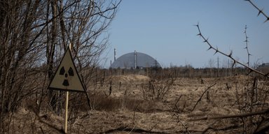 Біля Чорнобильської АЕС вчені виявили щось дивне: ніхто не очікував побачити такі частинки