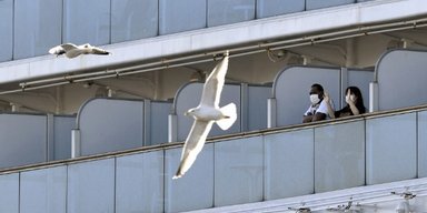 Принцесса на карантине. Как живут пассажиры на закрытом из-за коронавируса лайнере