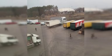Стрільбу по людині під Києвом влаштував представник "Муніципальної варти": що йому загрожує