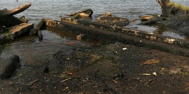 Спадщина динозаврів чи невичерпні запаси Землі: звідки насправді береться нафта