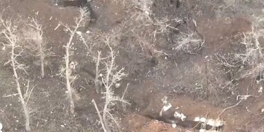 Под Торецком двое бойцов ВСУ взяли в плен пятерых россиян, которые пришли их штурмовать (видео)