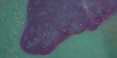 Гигантское черное пятно неожиданно появилось в океане: почему воды забурлили и потемнели (фото)