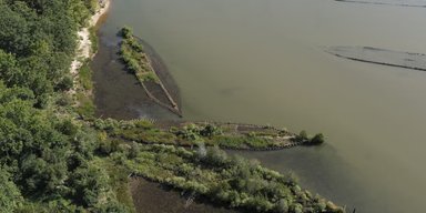 Вибухівка Другої світової оживляє Балтійське море: вчені фіксують процвітання морських істот (фото)