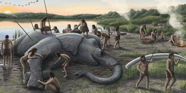 125 000 лет назад неандертальцы поймали одно из самых больших существ мира: что нашли ученые
