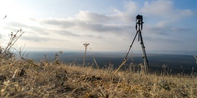 Несподіваний гість з пустелі: камера зафіксувала тварину, яку не сподівалися побачити (відео)